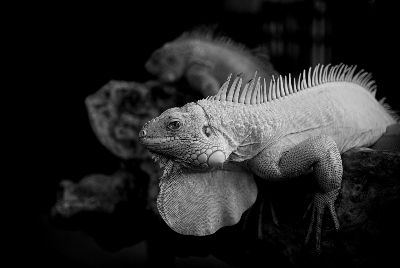 漢方でウエストの測り方は週に何回行うべき？