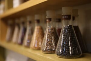 漢方で便秘解消に役立つ食物繊維豊富な食品は？