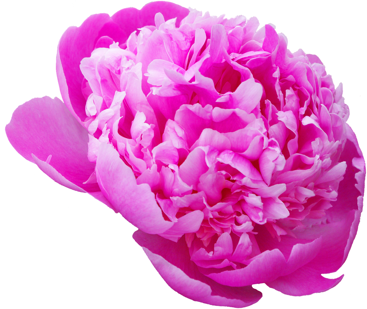 当帰芍薬散はむくみ解消に効果的で体重減少に繋がるのか？